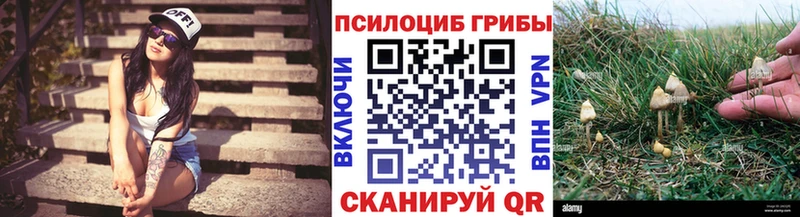 дарк нет Telegram  Новочебоксарск  Галлюциногенные грибы GOLDEN TEACHER 