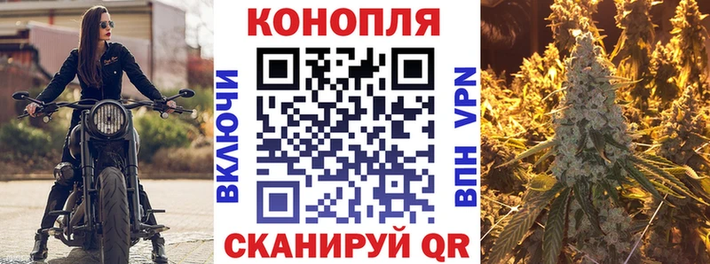 Каннабис индика  Новочебоксарск 